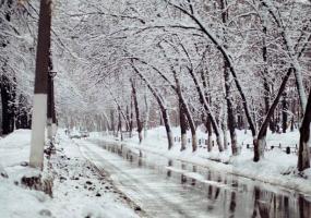 Ученые назвали самый теплый месяц в истории человечества - НТР 24