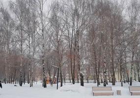 Причину аномально теплой погоды в России объяснили синоптики - НТР 24