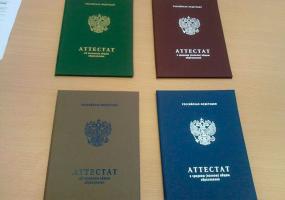 Прокуратура Нижнекамска добивается закрытия сайта по продаже поддельных дипломов - НТР 24