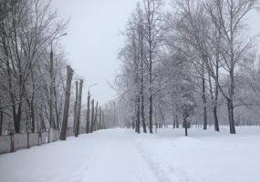 Погода в Татарстане на 20 февраля: ожидаются туман и гололёд - НТР 24