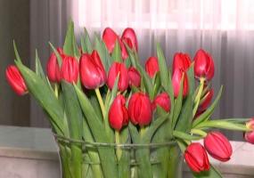 Март в Татарстане обещает быть тёплым - НТР 24