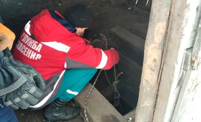 Спасатели помогли собаке, которая застряла в погребе