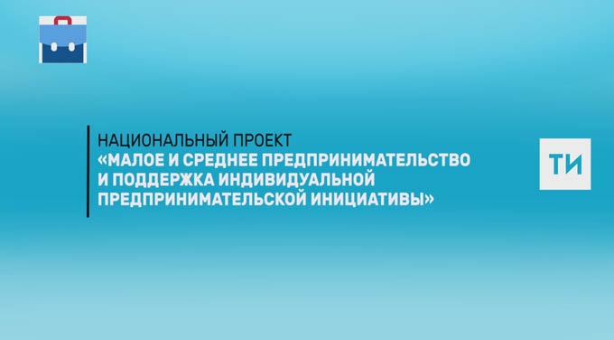 «Малое и среднее предпринимательство и поддержка индивидуальной предпринимательской инициативы»