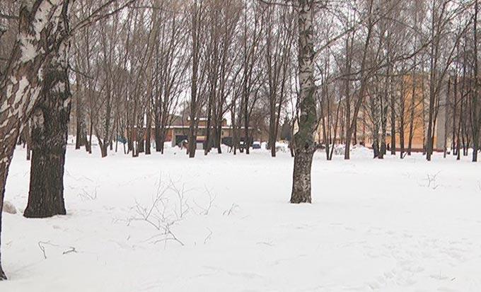 Ветрено и тепло: прогноз погоды на 8 марта в Нижнекамске