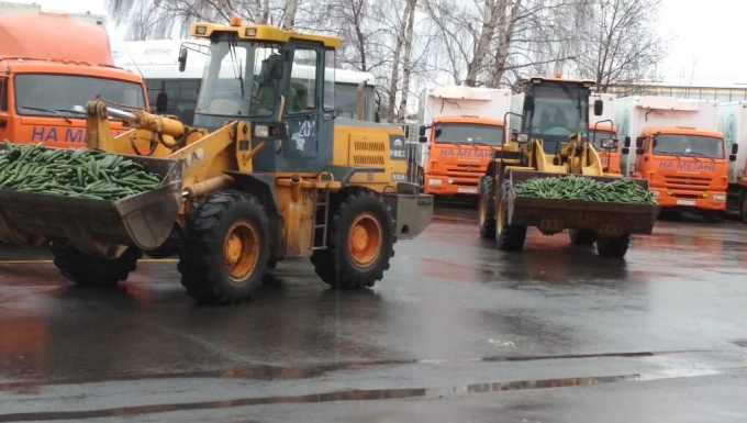 На свалку в Татарстане выбросили 76 тонн огурцов – видео