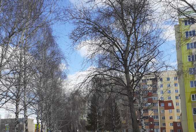 До 11 градусов тепла ожидается в Татарстане в первый выходной день