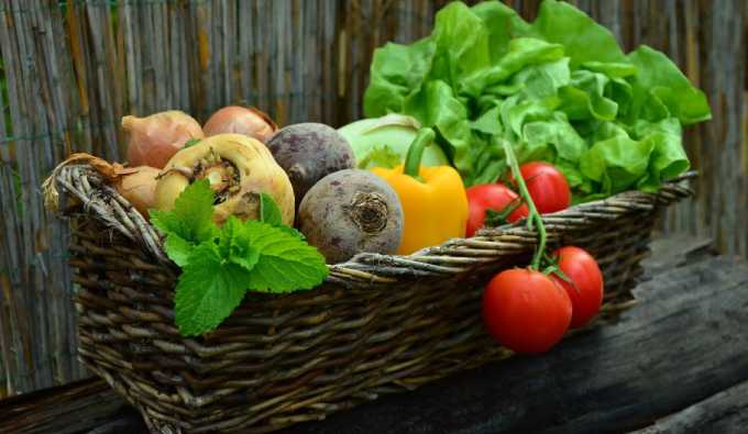 Аграрии Татарстана будут доставлять овощи нижнекамцам на дом