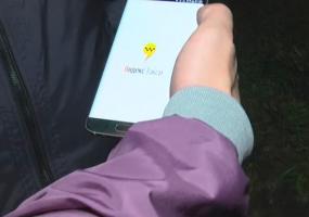 Водители Яндекс.Такси теперь могут ставить оценки пассажирам - НТР 24