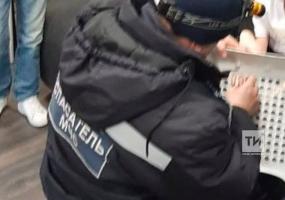 Мальчик застрял в икеевском стуле с дырочками — пришлось вызывать спасателей - НТР 24