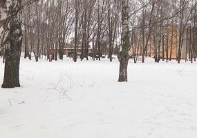 Мороз ожидается в Татарстане в первую весеннюю неделю - НТР 24