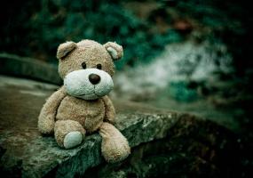 Останки новорожденного нашли на улице в Йошкар-Оле - НТР 24