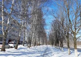 Дождь и сильный ветер: синоптики предупредили об ухудшении погоды в Татарстане - НТР 24