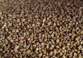 Продовольственные склады Татарстана переполнены продуктами - НТР 24