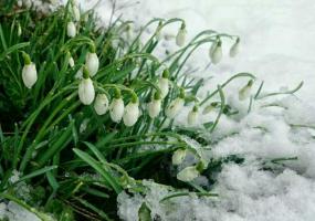 Мокрый снег и холод ждут нижнекамцев 23 марта