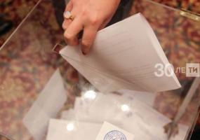 Правозащитник: голосование по изменению Конституции выразит волю народа - НТР 24