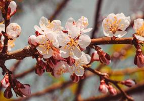 Как выходная неделя в России скажется на праздниках, рассказали в Совфеде - НТР 24