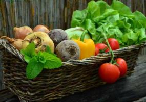 Аграрии Татарстана будут доставлять овощи нижнекамцам на дом