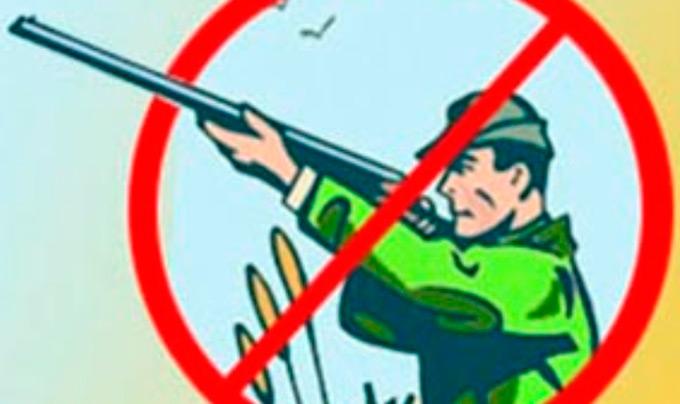 В Нижнекамских охотничьих угодьях временно запрещена охота