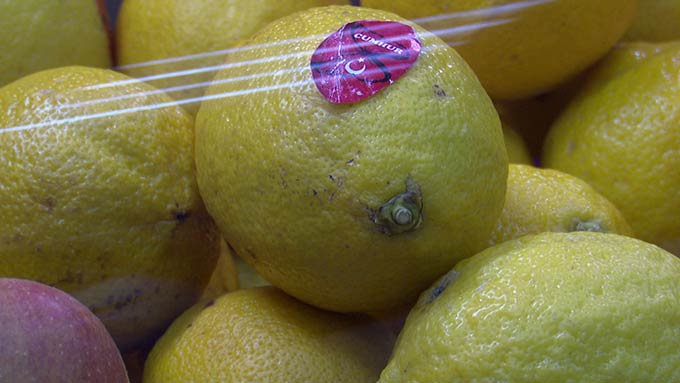 Врачи не нашли доказательств лечебных свойств имбиря и лимона при коронавирусе