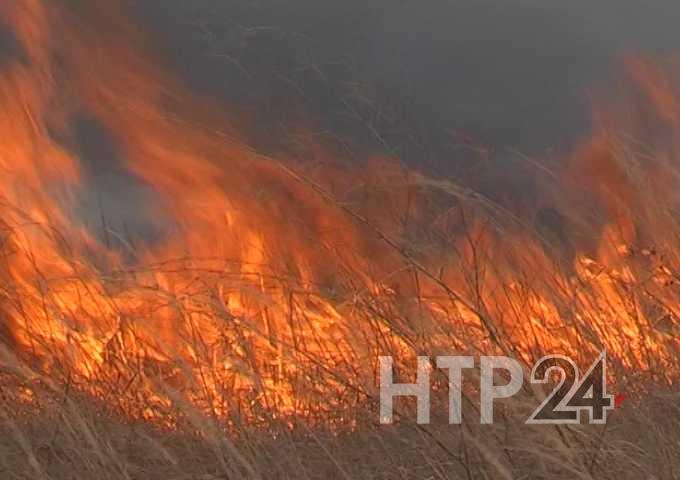 В Нижнекамском районе зарегистрировано восемь случаев горения сухой травы