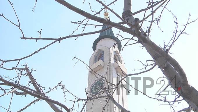 В Центральной Соборной мечети Нижнекамска работает специалист по арбористике