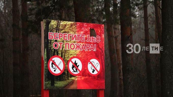 В Нижнекамском лесхозе появится новая пожарная станция