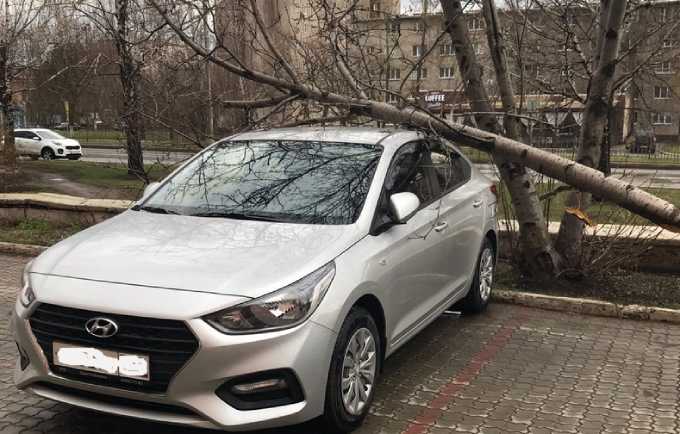 В Нижнекамске сильный ветер уронил дерево на припаркованный автомобиль