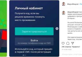 Цифровые пропуска в Татарстане можно теперь получить через Интернет