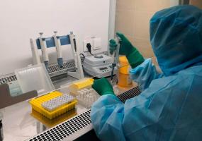 Новый антирекорд установил коронавирус в России