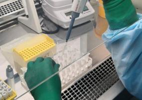 В Японии нашли препарат, блокирующий размножение коронавируса