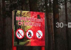 В Нижнекамском лесхозе появится новая пожарная станция