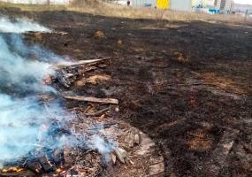 Казанец хотел показать дочери, как горит сухая трава, и устроил пожар - НТР 24