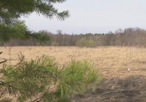 В Татарстане сохранится ветер, порывы которого будут достигать 20-23 м/с - НТР 24