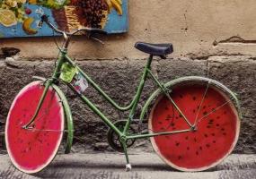 Велосипед и палатку получат победители экологического конкурса в Татарстане - НТР 24