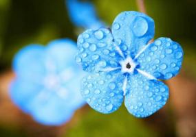 С дождя начнётся новая неделя в Татарстане - НТР 24