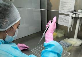 Россия вышла на 2 место по количеству проведённых тестов на коронавирус - НТР 24