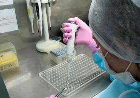 Стало известно, сколько тестов на коронавирус сделано в Нижнекамске