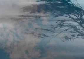 В четверг в Татарстане ожидается сильный ветер с порывами до 21 м/с и метель - НТР 24