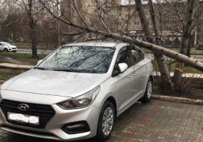 В Нижнекамске сильный ветер уронил дерево на припаркованный автомобиль