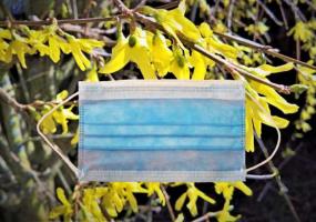 Один – завозной, два – контактные: в Нижнекамске подтвердили 3 новых случая заражения COVID-19 - НТР 24