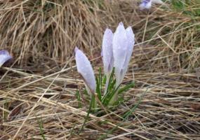 Майские праздники будут тёплыми в Татарстане - НТР 24