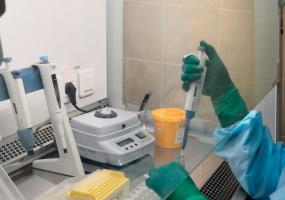 Стали известны результаты анализов на COVID-19 у татарстанцев, вернувшихся с Бали - НТР 24