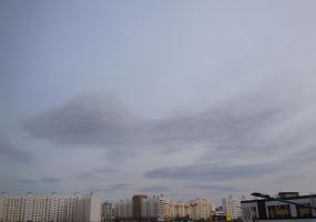 Синоптики Татарстана предупредили о сильном ветре - НТР 24