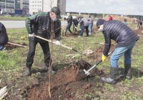 В Нижнекамске началась акция «Сад памяти»