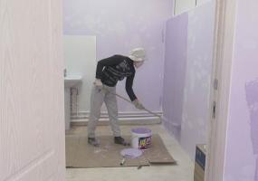 В нижнекамской ветеринарной клинике начался ремонт - НТР 24