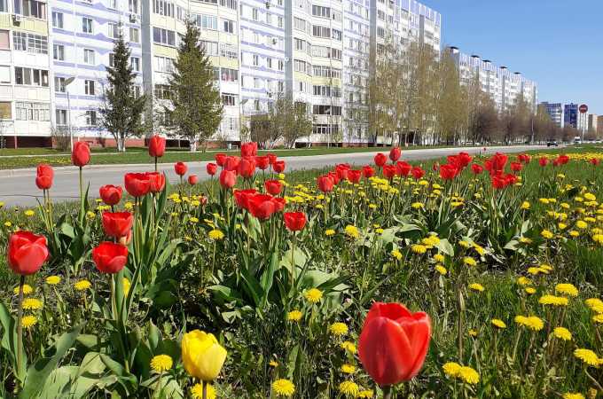 Ветер и до 26 градусов тепла обещают татарстанские синоптики 6 мая