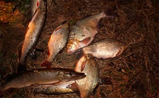 В Татарстане браконьеры ловили рыбу электроудочкой