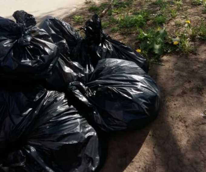 После жалобы нижнекамца мусор возле дома убрали