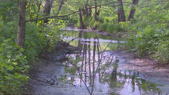 Экологи отобрали пробы воды в реке Уратьминка, куда сливают нечистоты