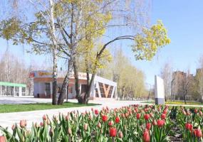 По-летнему тепло: какой будет погода в понедельник в Татарстане - НТР 24